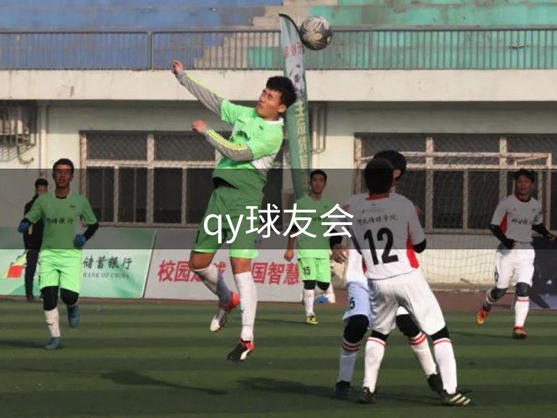 网站介绍